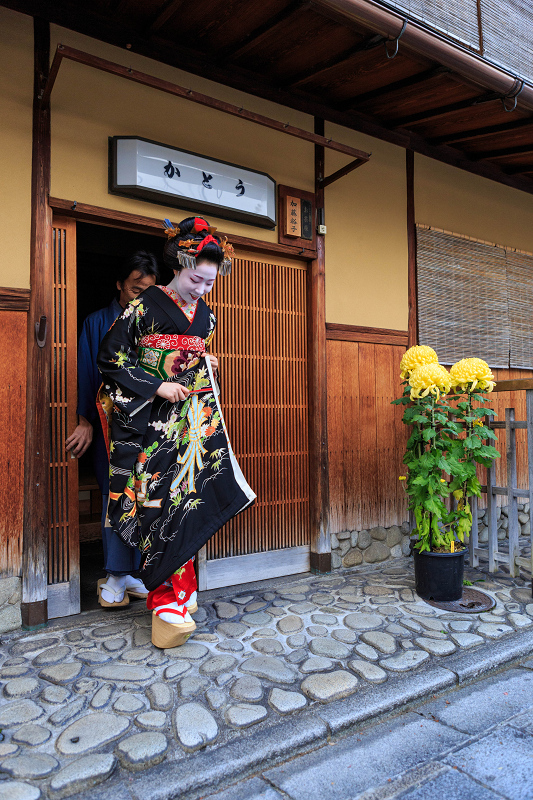 多麻・まめ藤さん お見世出し(祇園甲部)_f0155048_14273849.jpg