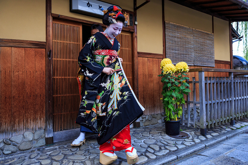 多麻・まめ藤さん お見世出し(祇園甲部)_f0155048_14274658.jpg