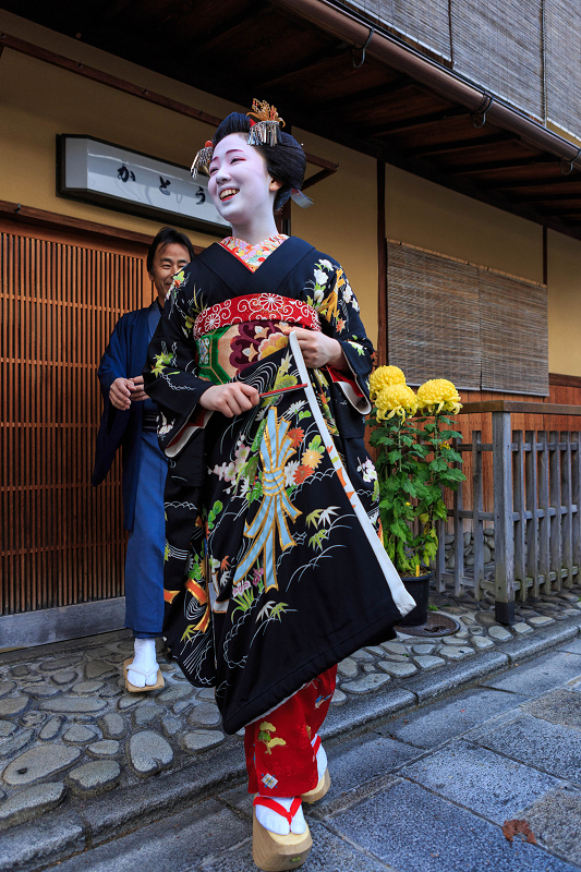 多麻・まめ藤さん お見世出し(祇園甲部)_f0155048_1428287.jpg