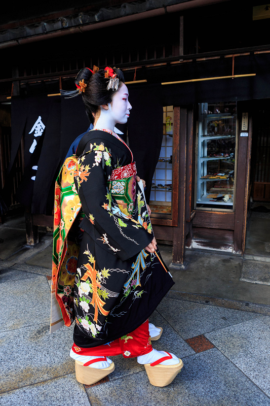 多麻・まめ藤さん お見世出し(祇園甲部)_f0155048_14295865.jpg