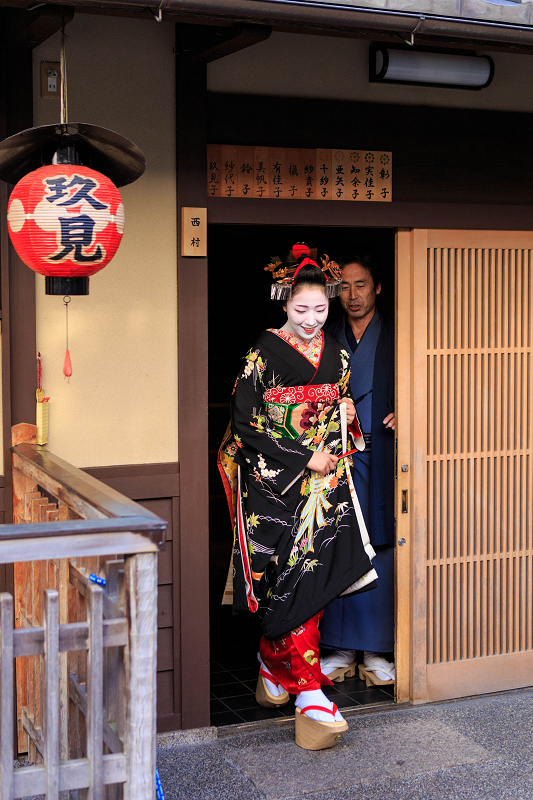 多麻・まめ藤さん お見世出し(祇園甲部)_f0155048_14321616.jpg