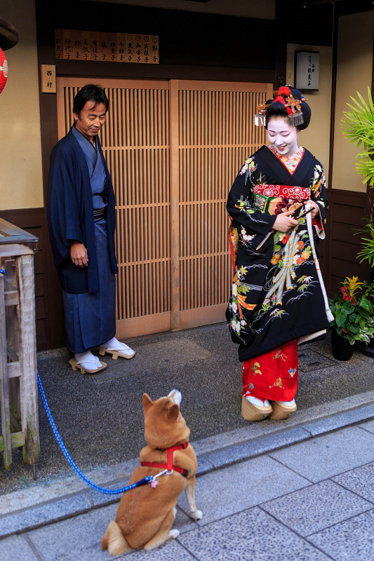 多麻・まめ藤さん お見世出し(祇園甲部)_f0155048_14322349.jpg
