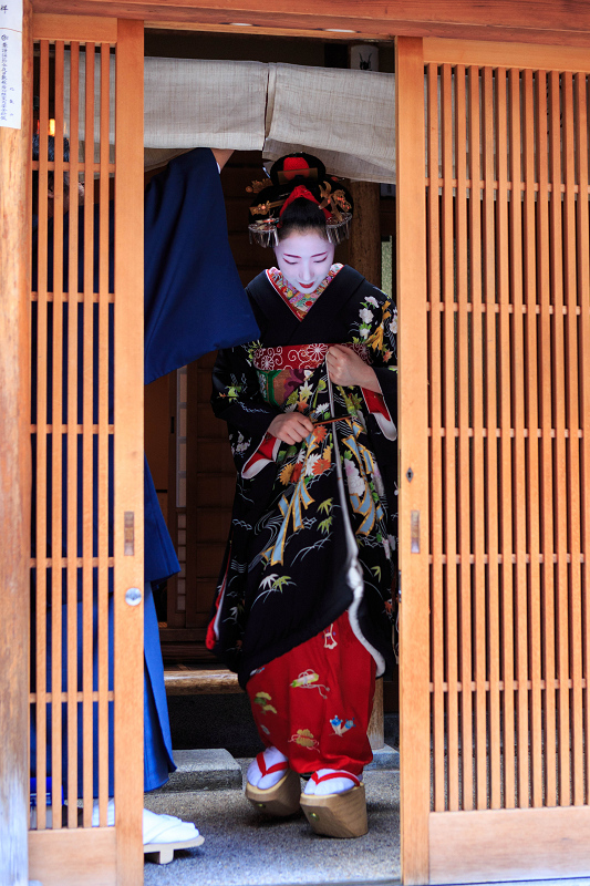 多麻・まめ藤さん お見世出し(祇園甲部)_f0155048_1433316.jpg