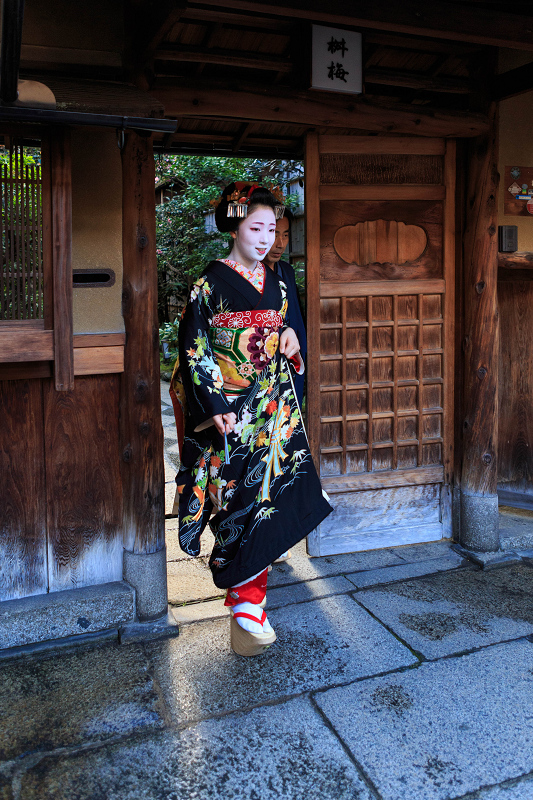 多麻・まめ藤さん お見世出し(祇園甲部)_f0155048_1436715.jpg