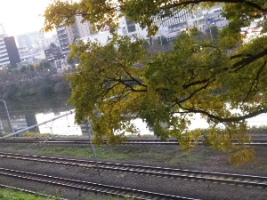 b0239151_12344668.jpg