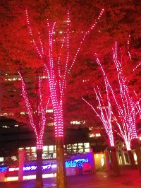 b0239151_12471785.jpg