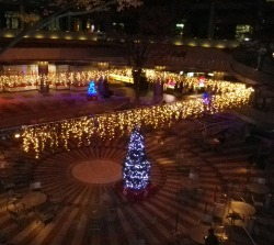 b0239151_1248815.jpg
