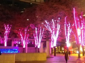 b0239151_1258589.jpg