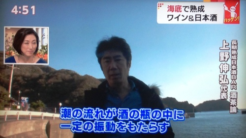 海中熟成酒がTBSテレビで_b0308353_15232790.jpg