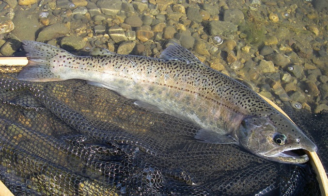 f0212059_21151025.jpg