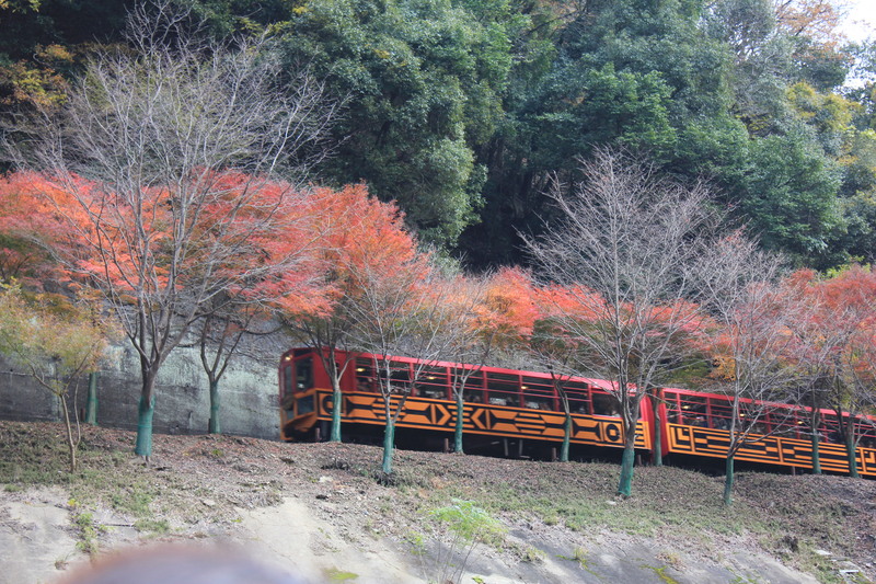 御本山 東本願寺【報恩講・板東曲】参拝と紅葉の保津川下り・京都の旅 レポート_d0266465_13322391.jpg