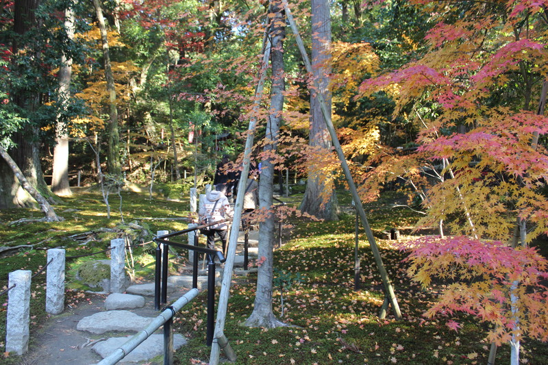 御本山 東本願寺【報恩講・板東曲】参拝と紅葉の保津川下り・京都の旅 レポート_d0266465_13334869.jpg