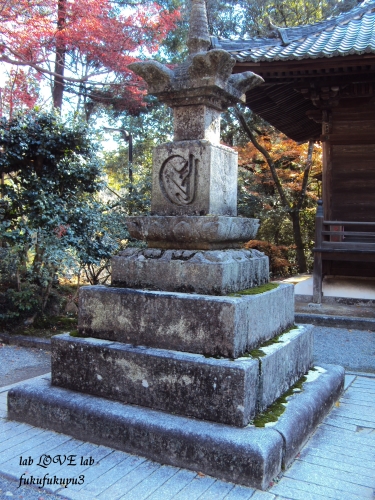 b0196568_09061429.jpg