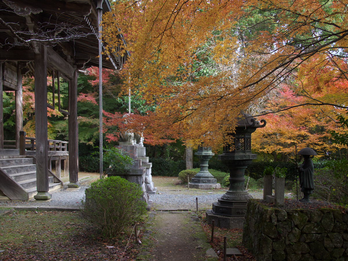 紅葉 2013 <金蔵寺>　　　　　　　　　　_f0021869_014365.jpg