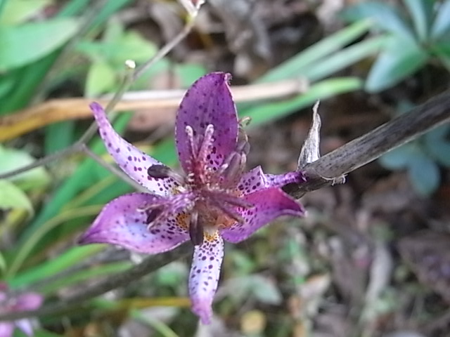 a0146070_8104270.jpg