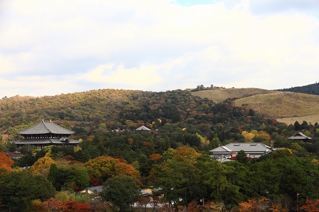 奈良公園の秋_f0014971_11424180.jpg