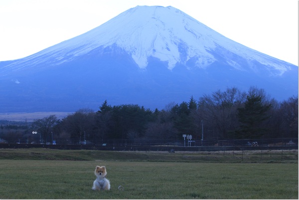 大好きだ～富士山♪_e0330372_746428.jpg