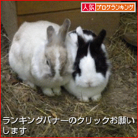 b0181081_9421180.gif
