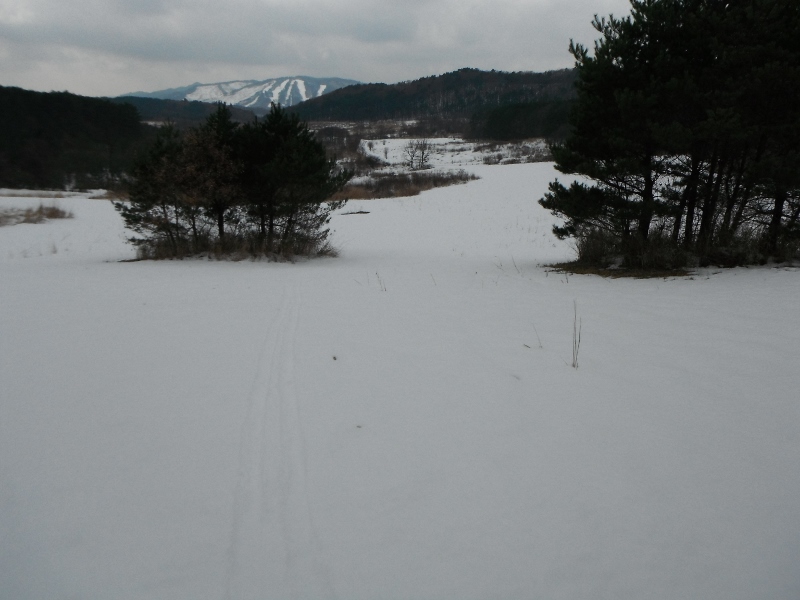 f0082181_11301223.jpg