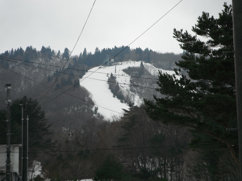 f0082181_1146230.jpg