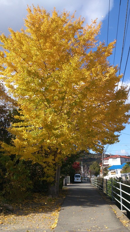 12月突入_f0172281_633013.jpg