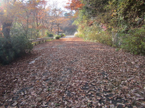 まさかの紅葉三昧　盤滝〜甲山_a0251786_21532029.jpg