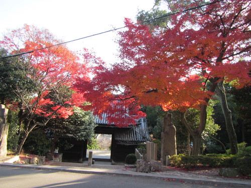 まさかの紅葉三昧　盤滝〜甲山_a0251786_21562065.jpg