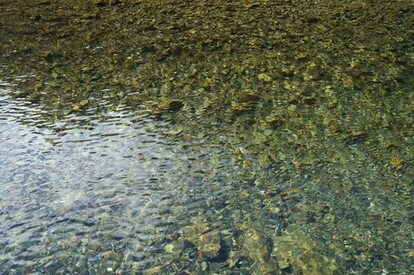 d0176186_1431874.jpg