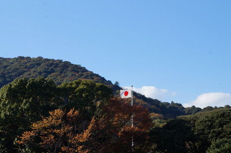 d0176186_1592994.jpg