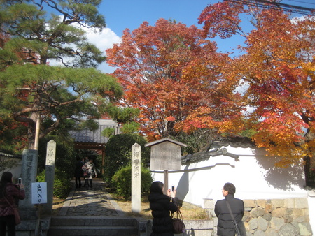 c0013687_741216.jpg