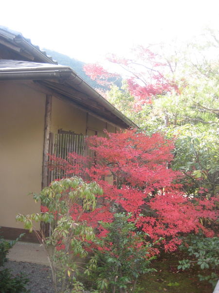 c0013687_7412326.jpg