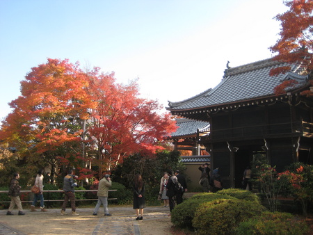 c0013687_7412887.jpg