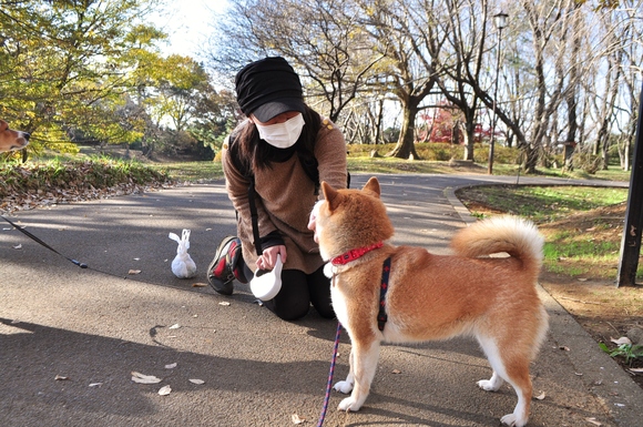かぼ父さんがカメラを持って_a0126590_414670.jpg