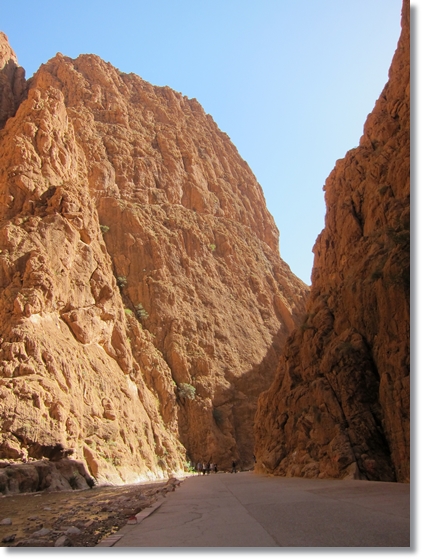 e0164690_2332941.jpg