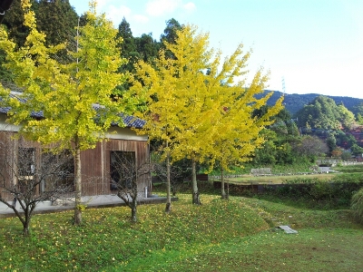 11月。福岡・秋月へー3_b0244593_13202686.jpg