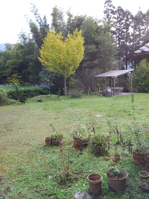 11月。福岡・秋月へー3_b0244593_13211129.jpg
