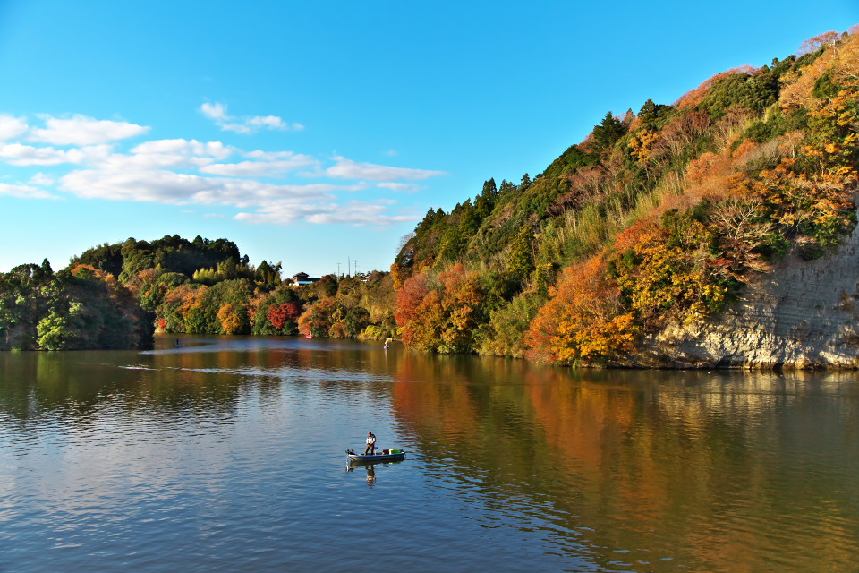 房総半島の紅葉（II）亀山湖_d0248494_2201673.jpg