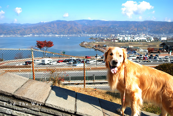 【wanこ】高山オフ 2013 vol.1 ~ 中央自動車道・諏訪湖PA_f0054594_2433229.jpg