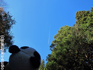 e0015195_23445624.jpg