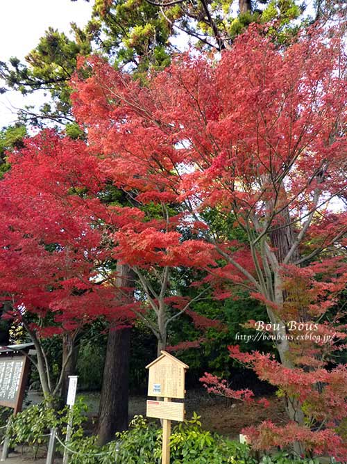 秋の鎌倉その4〜円覚寺-1_d0128697_14471051.jpg