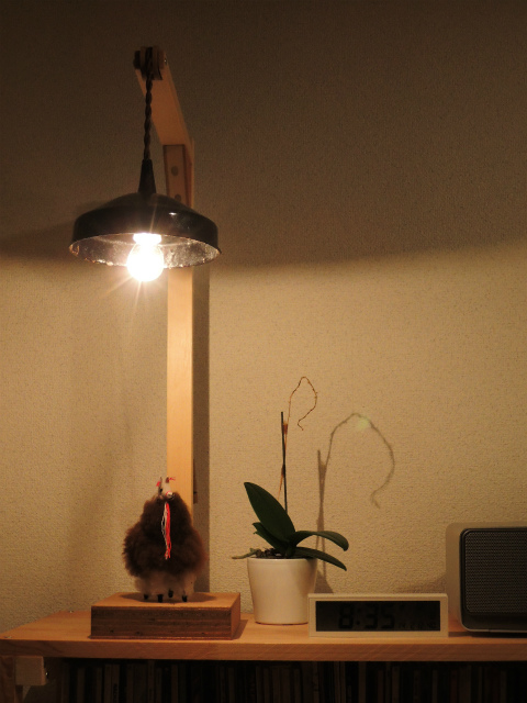 f0191999_164527100.jpg