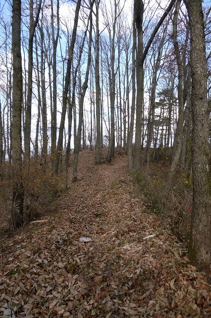 e0137200_1955447.jpg