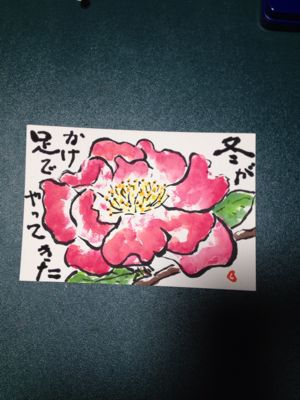 絵手紙教室で～山茶花_a0166904_7312764.jpg