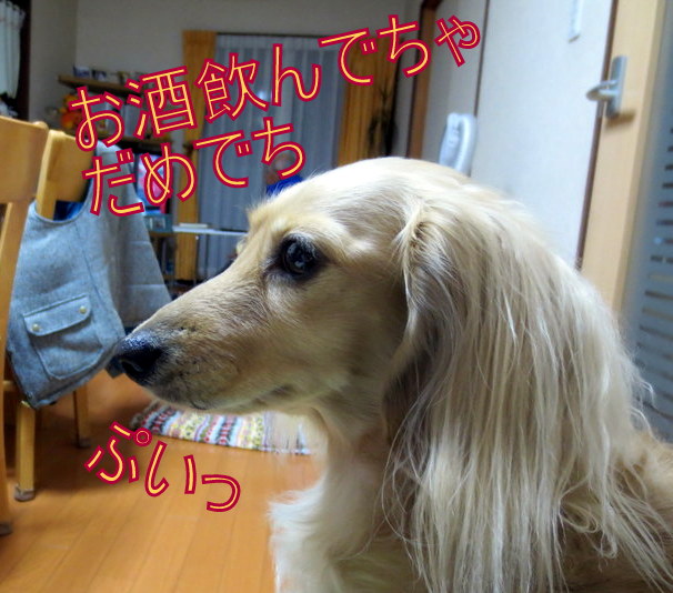 f0224506_14364675.jpg