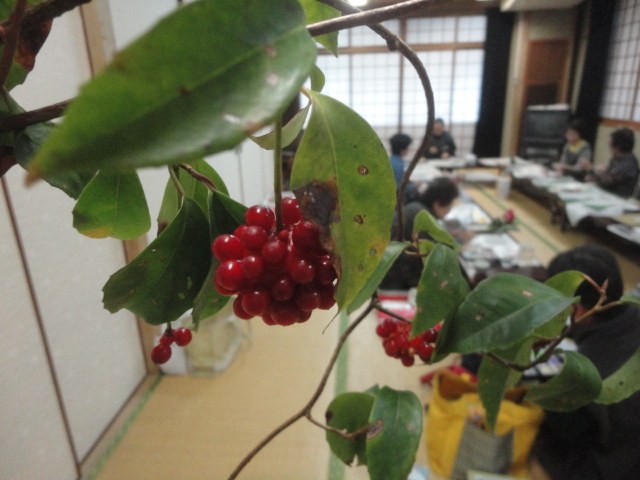 サネカズラ。くちなしの実、里山の紅葉…2013.12.4_f0231709_16125933.jpg