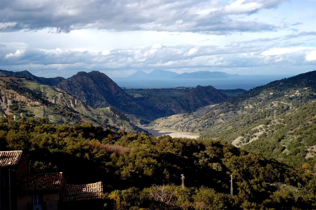 d0104210_82591.jpg