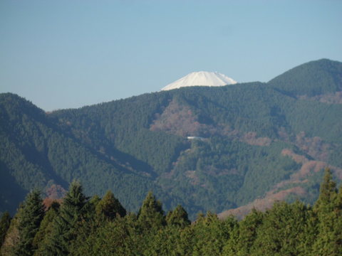 b0183111_21204857.jpg