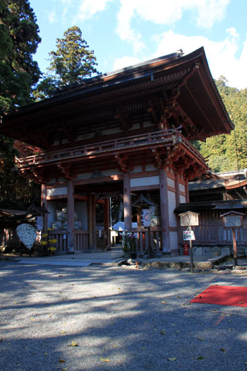 日吉大社 13黄葉だより66_e0048413_14275310.jpg