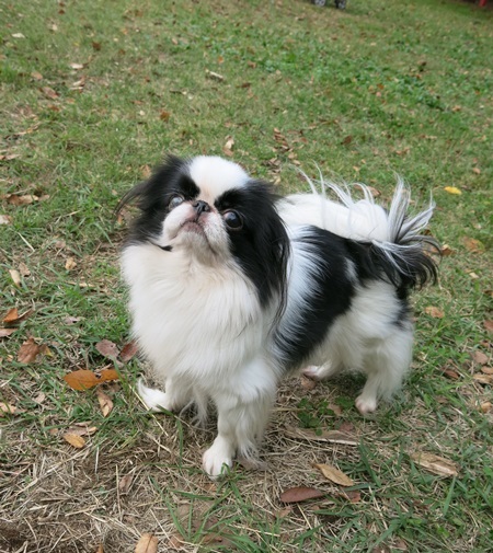 c0200916_135232.jpg