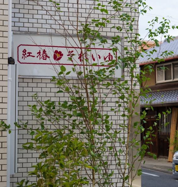 a0254818_1740422.jpg